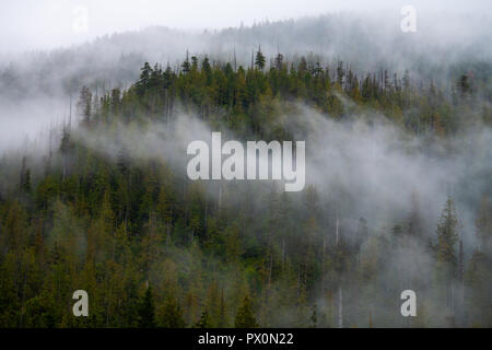 Nebel anheben Stockfoto