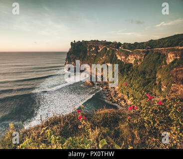 Übersicht panorama Ocean Shore Cliff. Sonnenuntergang. Bali. Überwältigt Szene die Blume und Grüne, schneebedeckten vertikalen Klippe über dem Indischen Ozean. Im Süden der Insel Bali, Pura Luhur Uluwatu Tempel. Indonesien. Stockfoto