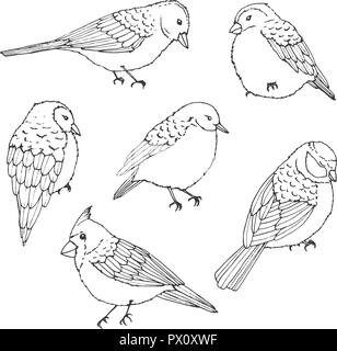 Hand gezeichnet Vektor Vögel line Art. Süße kleine Kreaturen auf weißem Hintergrund. Wildlife Konturen. Stock Vektor