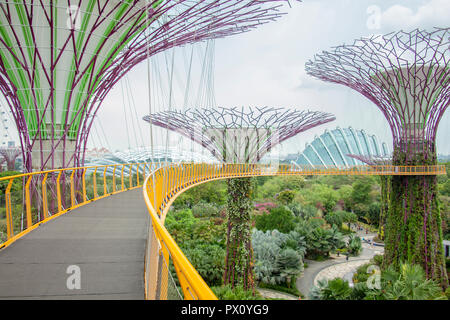 Supertree Grove an Gärten an der Bucht Stockfoto