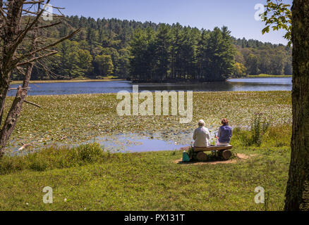 BLOWING ROCK, NC, USA -8/23/18: Zwei ältere Frauen sitzen auf einer Bank mit Blick auf Bass Lake, mit Seerosen über den See. Stockfoto