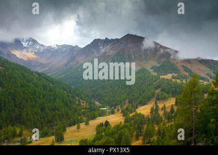 Wolking in Berg Stockfoto