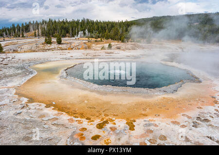 Crested Pool Hot Spring in der Upper Geyser Basin im Yellowstone National Park Stockfoto