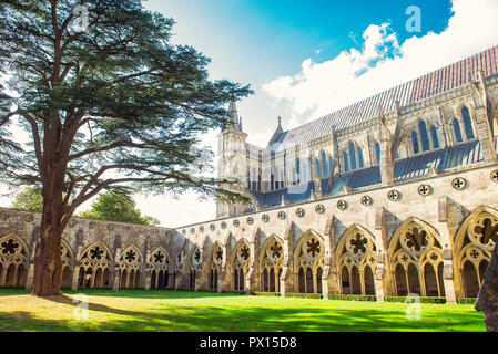 Außenansicht von Salisbury Cathedral Yard in Salisbury Wiltshire. Großbritannien im sonnigen Tag. Medevial Architektur. Selektiver Fokus. Kopieren Sie Platz Stockfoto