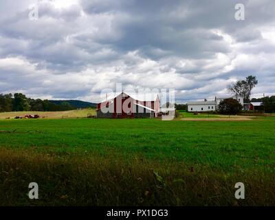 Red Barn, Kühe auf der Weide, und weisse Bauernhof bei bewölktem Himmel in ländlichen Lycoming County, Pennsylvania, USA. Stockfoto