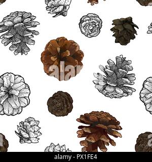 Tannenzapfen nahtlose Muster isoliert auf weißem bacground. Stock Vektor