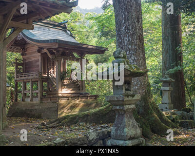 Osaki Hachiman Schrein, henro Keine michi Trail, Shikoku 88 Tempel Pilgerfahrt, Stadt Saijo, Ehime, Japan Stockfoto