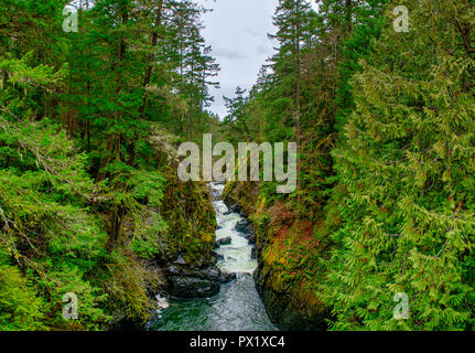 Panoramablick auf die Engländer River Falls obere Wasserfälle" in Vancouver Island, BC, Kanada Stockfoto