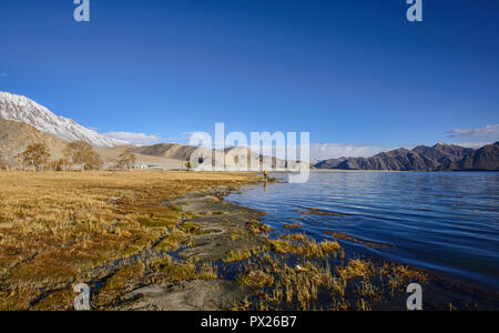 Die schöne Pangong See, Ladakh, Indien Stockfoto