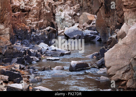 Angeln von Forellen auf dem North Platte River in Wyoming, USA Fliegen Stockfoto