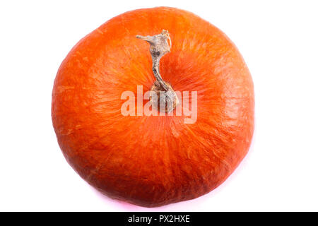 Reife runde orange Kürbis isoliert auf weißem Hintergrund Stockfoto