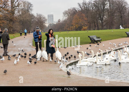 Das Füttern der Vögel im Park Kensington Gardens, London Stockfoto
