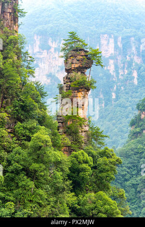 Sandstein Berge von der Strecke der 10 Km natürliche Galerie angesehen Tianzi Berg. Landschaftspark Wulingyuan gelegen Scenic Area, Niagara-on-the-Lake, Hunan, China. Stockfoto