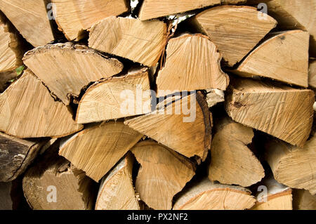 Frisch geschnittene Brennholz Protokolle in der Schnurgebundenen Herbst Horizontal Stockfoto