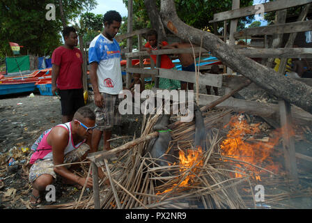 Feuer aus dem Fell eines frisch geschlachteten Schwein, Honiara, Solomon Inseln zu brennen. Stockfoto