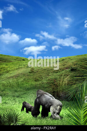 Zwei gorillas Wandern auf grünen Landschaft über blauen bewölkten Himmel Stockfoto