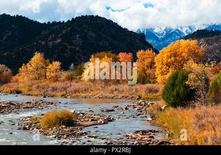 Herbst Farben auf den Arkansas River mit dem herrlichen Sangre de Cristo Bergkette im Hintergrund Stockfoto
