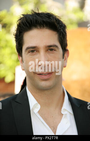 David Schwimmer 10/26/08 "Madagascar Escape 2 Africa" Premiere @ Mann Dorf Theater, Westwood Foto von Megumi Torii/HNW/PictureLux 26. Oktober 2008 Datei Referenz # 33686 298 HNWPLX Stockfoto