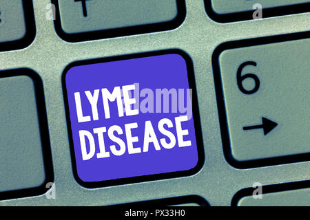 Wort schreiben Text Lyme Krankheit. Business Konzept für die Form von Arthritis durch Bakterien, die durch Zecken verbreitet werden, verursacht. Stockfoto