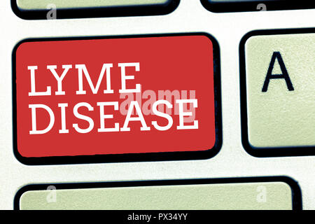 Text Zeichen angezeigt Lyme Krankheit. Konzeptionelle foto Form von Arthritis durch Bakterien, die durch Zecken verbreitet werden, verursacht. Stockfoto