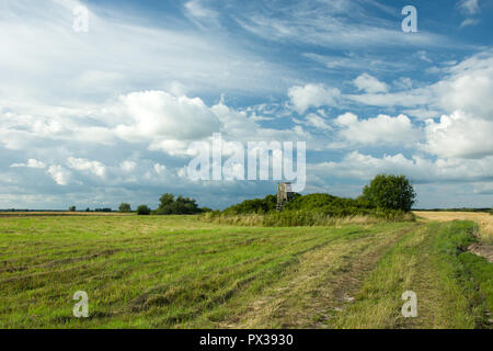 Die Jagd in den Hain und dunkle Wolken in den Himmel Stockfoto