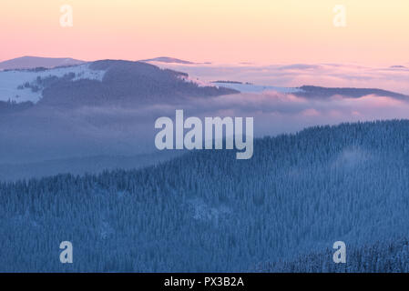 Sonnenaufgang in den Bergen. Winterlandschaft mit verschneiten Wald an Hängen. Sanften Morgenlicht. Stockfoto