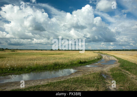 Pfützen nach Regen auf einer Schotterstraße, Felder von Korn und Wolken im Himmel Stockfoto