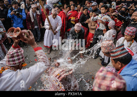 Bhaktapur, Nepal. Okt, 2018 19. Hindu Priester führen Sie ein Ritual an Bramahini Tempel während der Zehnten Dashain Festival. Während der dashain Festival, Nepalesische hinduistischen Gläubigen verehren, Durga, eine Mutter Göttin der Macht und Wohlstand, die Tieropfer, vor allem Ziegen und Büffeln. Im Allgemeinen ist das dashain Hindu Festival ist eine Feier des Sieges der Götter über die Dämonen. Credit: Sunil Pradhan/SOPA Images/ZUMA Draht/Alamy leben Nachrichten Stockfoto