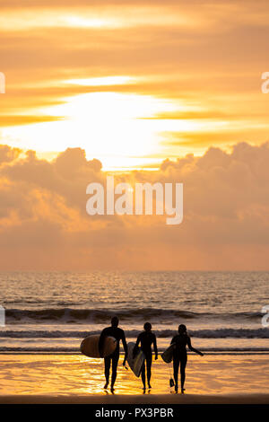 Gower Halbinsel, Swansea, Großbritannien. 19. Oktober 2018. Nach einer anderen schönen Oktober tag Familien die Surf- und Sonnenuntergang am Llangennith Strand auf der Halbinsel Gower in der Nähe von Swansea, Wales, Credit: Gareth Llewelyn/Alamy Leben Nachrichten. Stockfoto