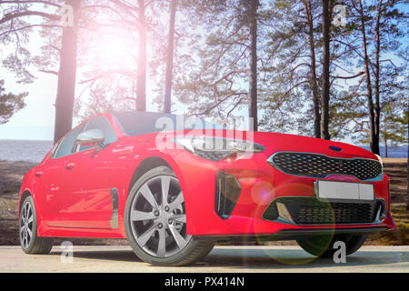 Rotes Auto auf einem Hintergrund der Kiefern. Stilvolles, modernes, helles Bild des Autos für Design Lösungen. Stockfoto