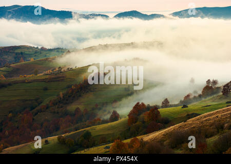 Nebel und steigende Wolken bewegen Sie die Maus über die ländlichen Hügeln. wunderschöne Herbstlandschaft in Berge in der Morgendämmerung Stockfoto