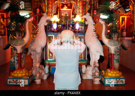 Mieu Ba Ngu Hanh buddhistische Tempel. Frau zu beten. Hauptaltar mit Roten gekrönt Krane eine Symbolik der Langlebigkeit und viel Glück. Frau zu beten. Vung Tau Stockfoto