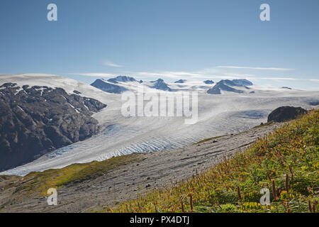 Ansicht des Harding Eis Feld aus der Trail Seward Alaska Stockfoto