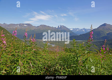 Ansicht der Auferstehung River von Harding Ice Field Trail Alaska Stockfoto