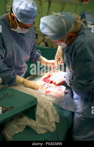 Chirurgische Eingriffe bei der Geburt im Krankenhaus, Kaiserschnitt, Tschechische Republik Stockfoto