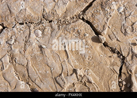 Alstrom Point, AZ, USA. Detailansicht der trockenen Felsen in der Wüste. Stockfoto