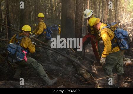 Flieger vom Washington Air National Guard, tragen gelbe Fangvorrichtung und blauen Rucksäcke, Suche für restliche Glut in einem Waldgebiet während dem Kampf gegen die Schafe Creek Feuer, in der die Schafe Creek in der Nähe von Northport, Washington, USA befindet, mit freundlicher Genehmigung Technische sergeant Timothy Chacon und der Joint Forces Headquarters, Washington National Guard, 6. August 2018. () Stockfoto