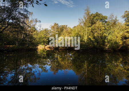 Strawberry Hill Teich in Epping Forest auf einem hellen Oktober Morgen Stockfoto