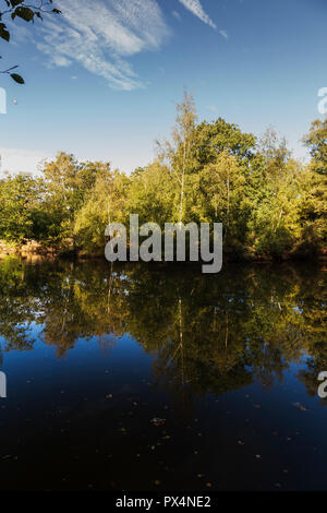 Strawberry Hill Teich in Epping Forest auf einem hellen Oktober Morgen Stockfoto