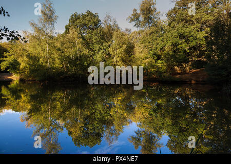 Strawberry Hill Teich in Epping Forest auf einem hellen Oktober Morgen Stockfoto