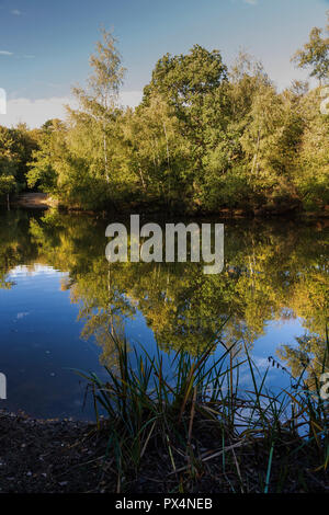 Strawberry Hill Teich in Epping Forest auf einem hellen Oktober Morgen Stockfoto