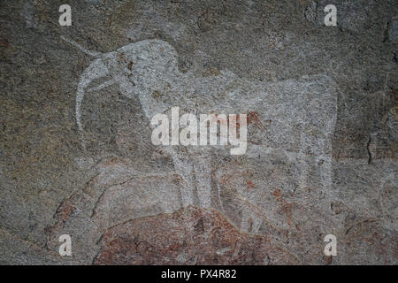 Weißer Elefant und die rote Antilope, Felsmalerei, Phillips-Höhle, vermutlich ehemals Wohnstätte der San, Ameib-Farm im Erongogebirge, Namibia, Afrika Stockfoto