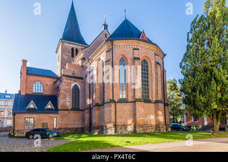 Rathaus Tartu Estland Stockfoto