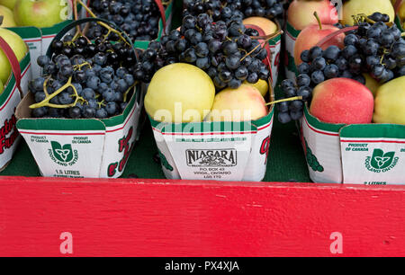 Körbe von Äpfeln und Trauben für den Verkauf zu einem lokalen Farm stand in der Niagara Peninsula, Ontario, Kanada. Stockfoto