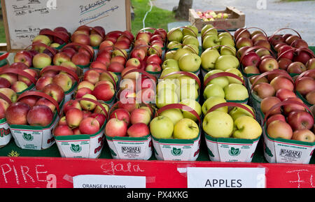 Körbe von lokalen Äpfel zum Verkauf an einem strassenrand Farm stand in der Niagara Peninsula, Ontario, Kanada. Stockfoto