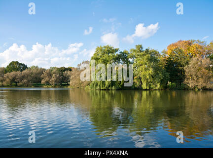 Stratford, Ontario, Kanada. Trauerweide und anderen Bäumen entlang des Avon River in Stratford, auf. Stockfoto