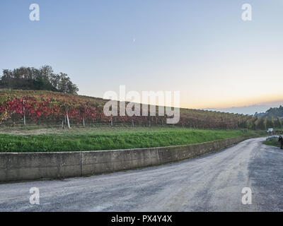 Blick auf die Landschaft der Langhe, eine countryisde in Pedmont sehr beliebt wegen der guten Weine und Lebensmittel Stockfoto