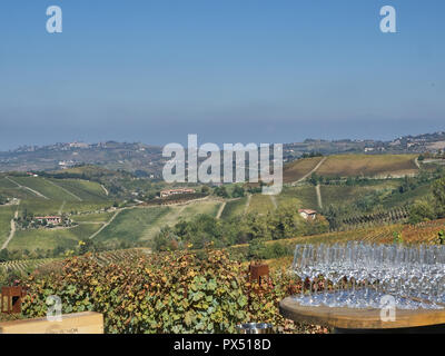 Blick auf eine Gruppe von Weingläser auf der Langhe countryisde. Es ist ein sehr beliebter Ort wegen der guten Weine und Lebensmittel Stockfoto