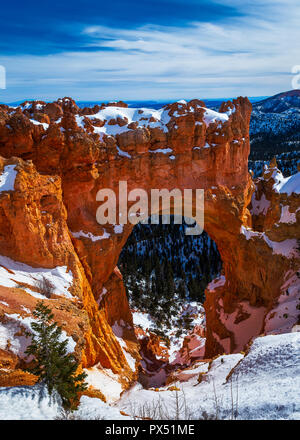 Januar im Bryce Canyon Utah USA Stockfoto