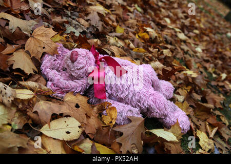 Eine verlorene Teddy liegt unter den herbstlichen Blätter in einem Waldgebiet in Edinburgh. Stockfoto